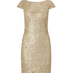 Adrianna Papell Sequin Chemical Lace Dress